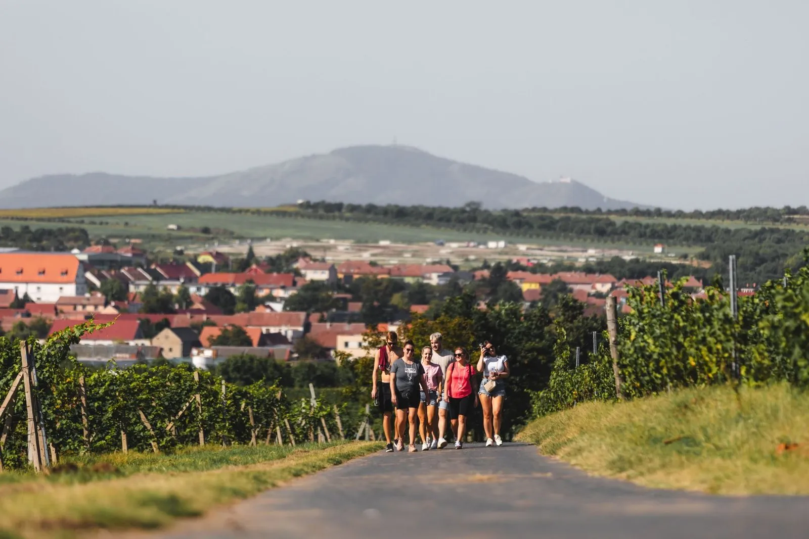 Skupinka turistů kráčející po cestě, v pozadí je vidět krajina jižní moravy