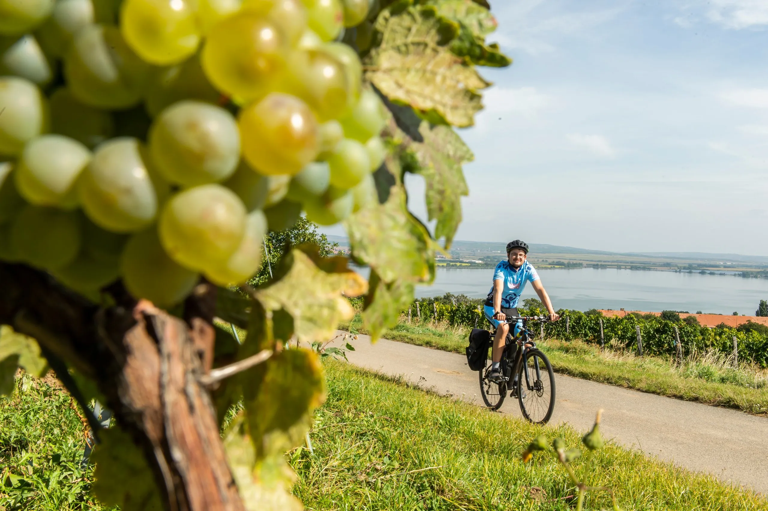 Na kole a pěšky za vůní Pálavy