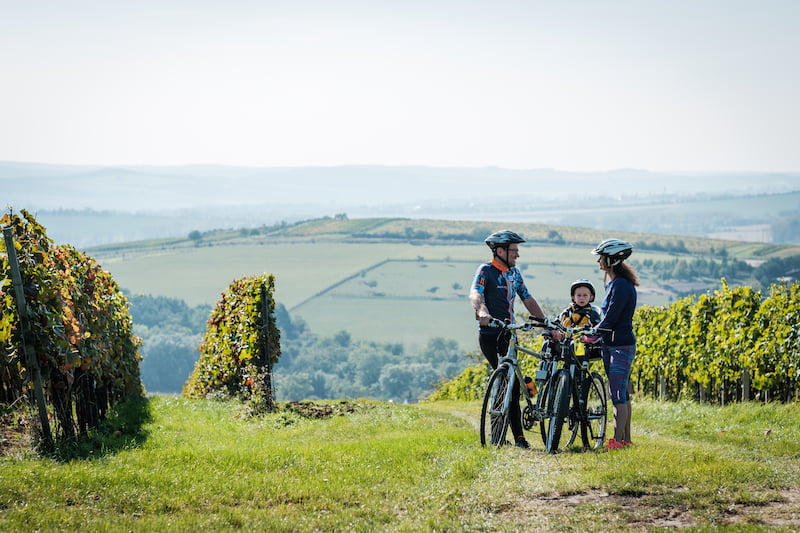 Bzenecká vinařská stezka